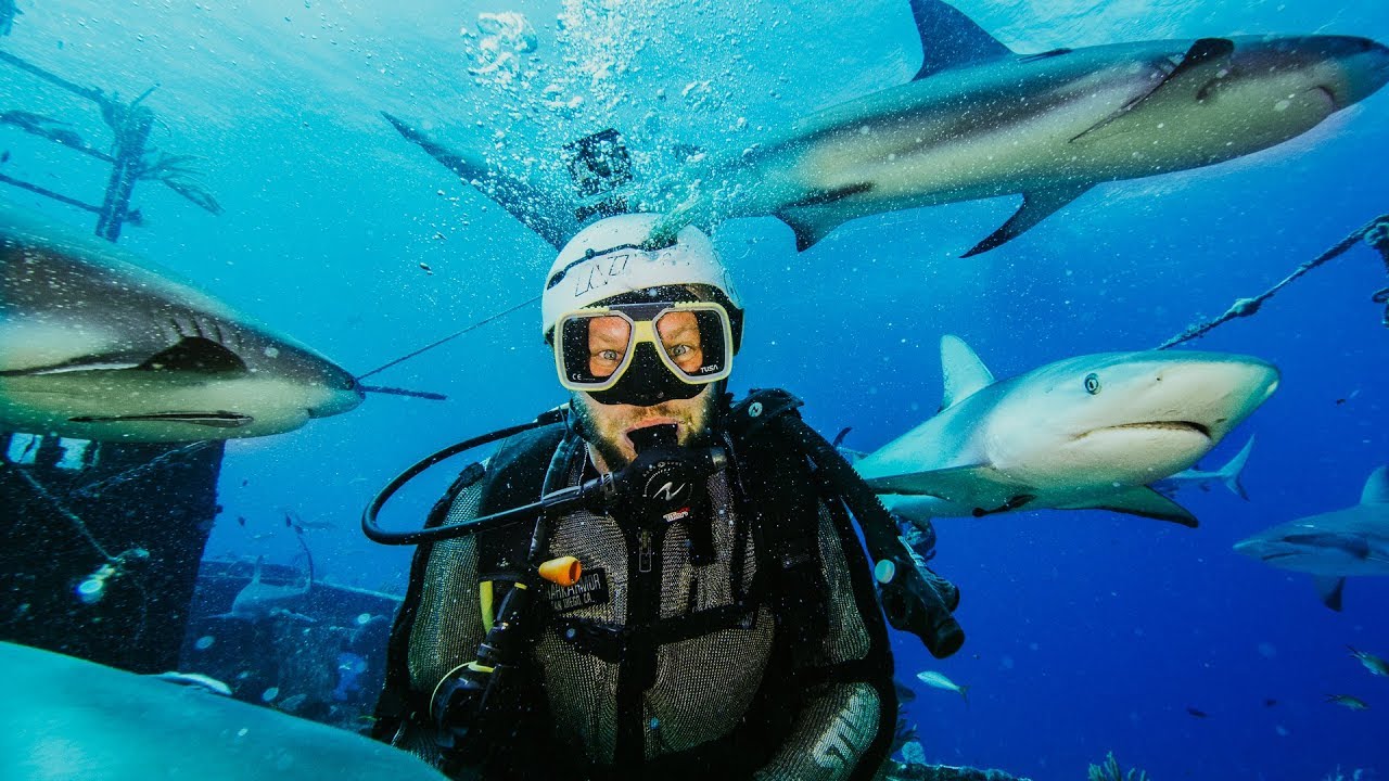 FILMING SHARKS WITH A $75,000 CAMERA SETUP