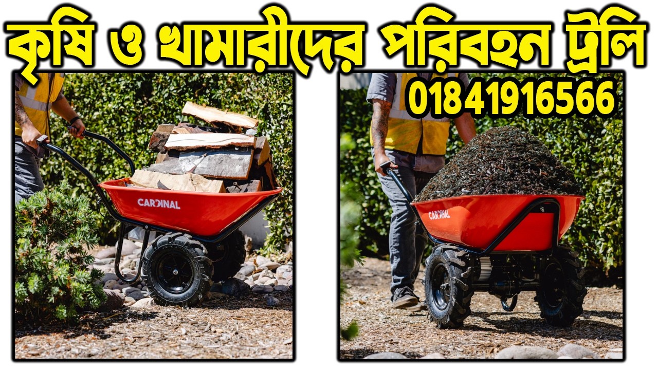 গরুর খামারের ট্রলি । hand trolley । #Arbana #trolley #wheelbarrow। মালামাল বহনের ট্রলি