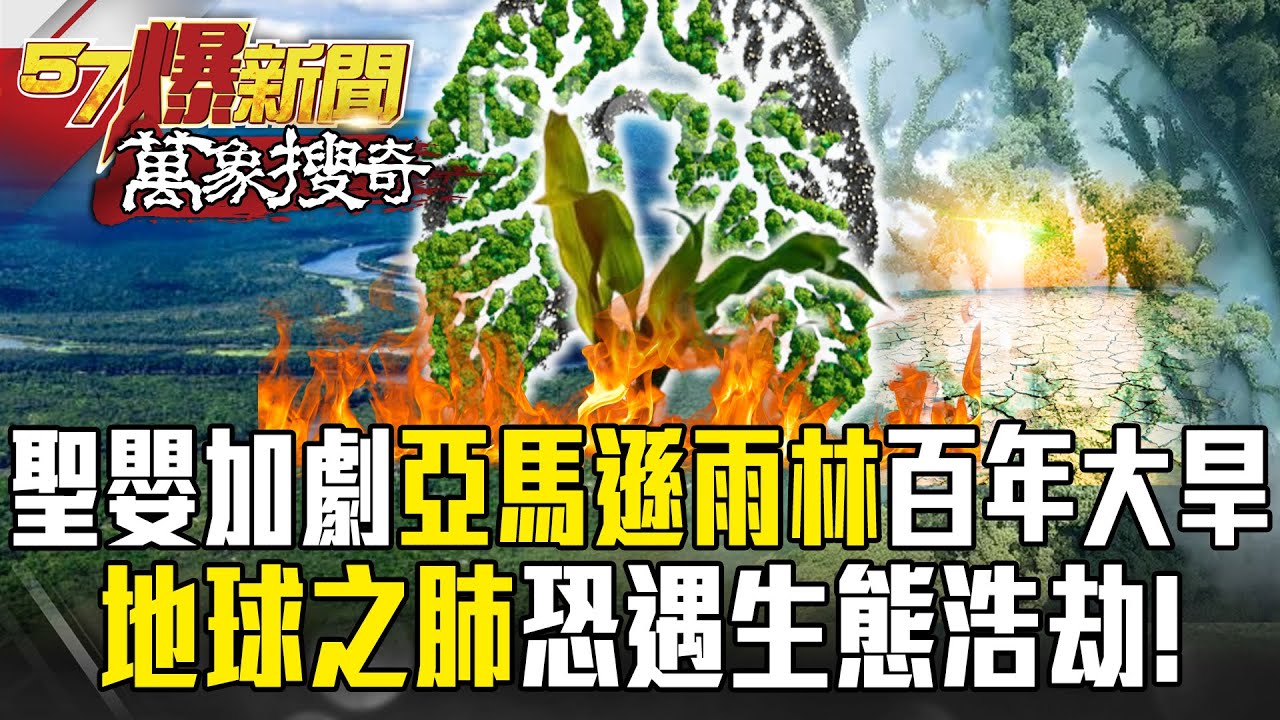 2023聖嬰加劇「亞馬遜雨林」面臨百年大旱！？「地球之肺」恐遇生態浩劫！【57爆新聞 萬象搜奇】  @57BreakingNews