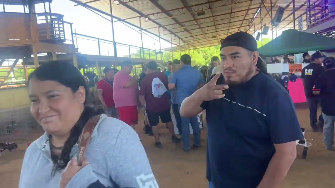 Nos fuimos al gallo show de Alvarado tx