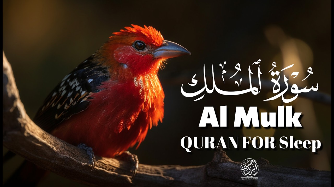 Surah Al‑Mulk Full Recitation Before Sleep | Protection from Grave & Inner Peace | Calm Night Quran