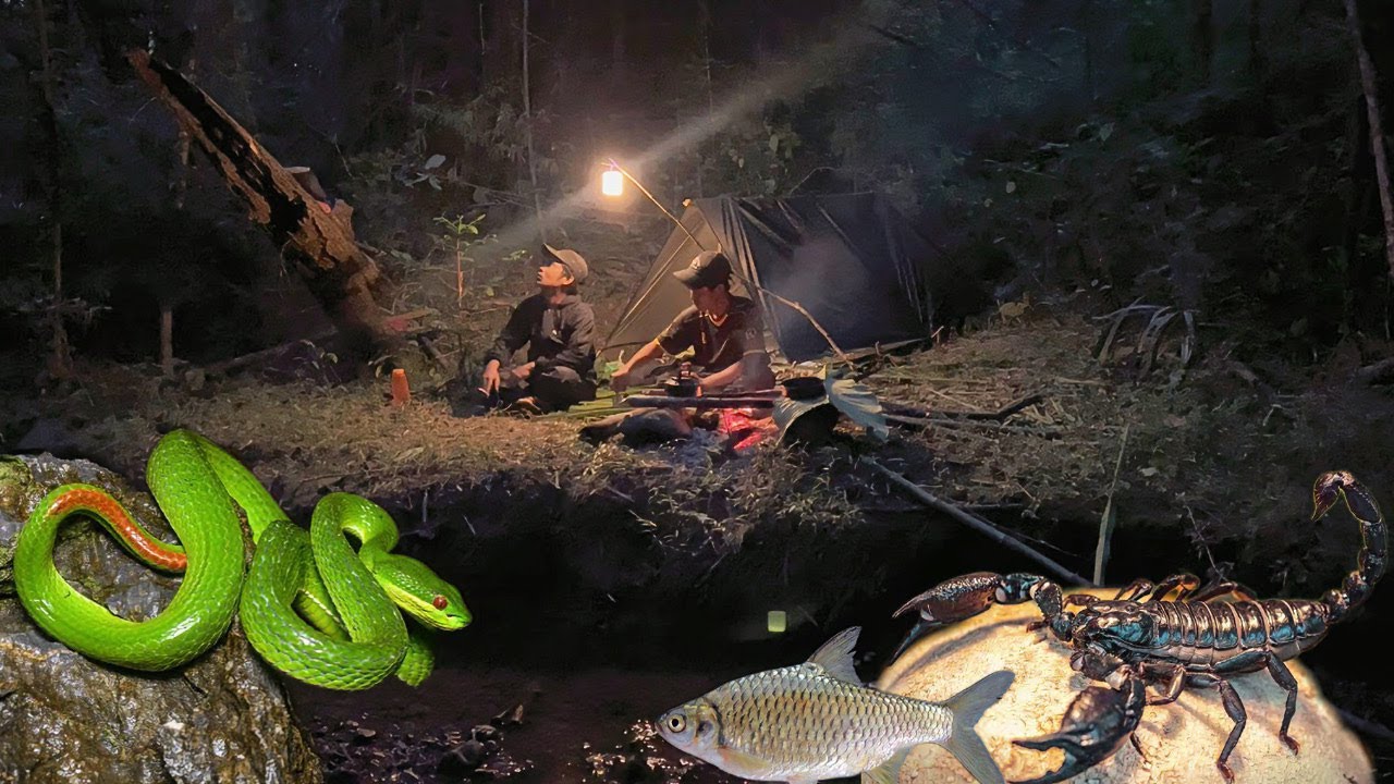90hari menyusuri hutan#2 menyusuri aliran sungai cikepuh dari hulunya