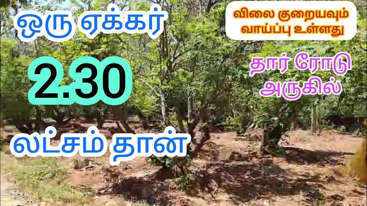 ஒரு ஏக்கர் 2.30 லட்சம் தான் செம்மண் பூமி தார் ரோடு முகப்பில் விவசாயம் செய்ய ஏற்ற இடம் #agriland