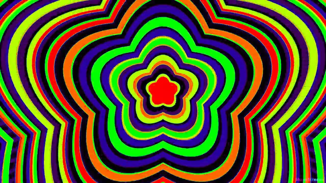 Symmetry in Motion: Shape Streams Floral Tunnel, Multicolor Flower Tunnel Background