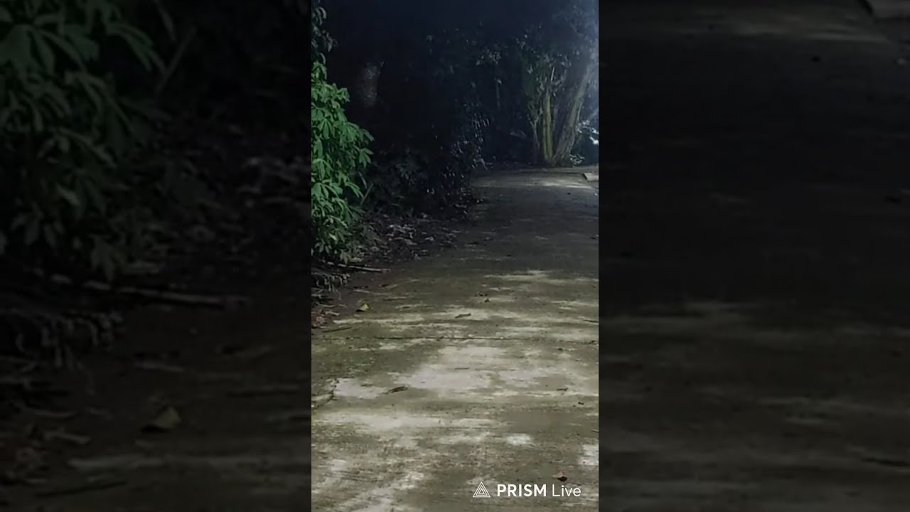 LIVE STREMING PUASA KE 15-REQ LAGU JANGAN LUPA TINGGAL KAN JEJAK YA GAYS YA.(liv dini hari)