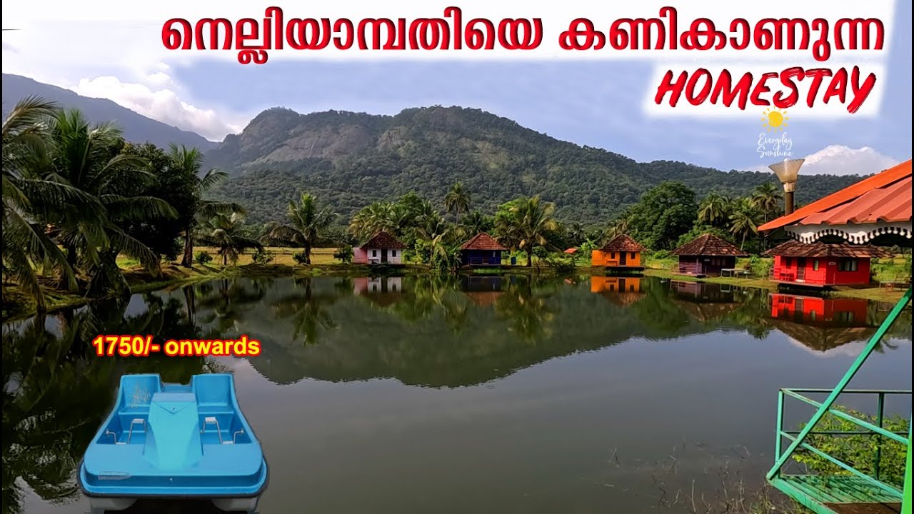 Hill View Homestay | Resorts In Nelliyampathy Palakkad | Budget Friendly Stay
