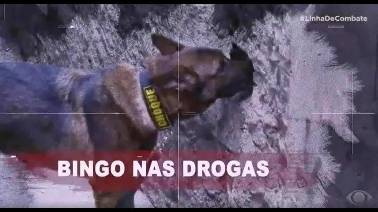 APREENSÃO DE DROGAS EM COMUNIDADE DE SÃO PAULO