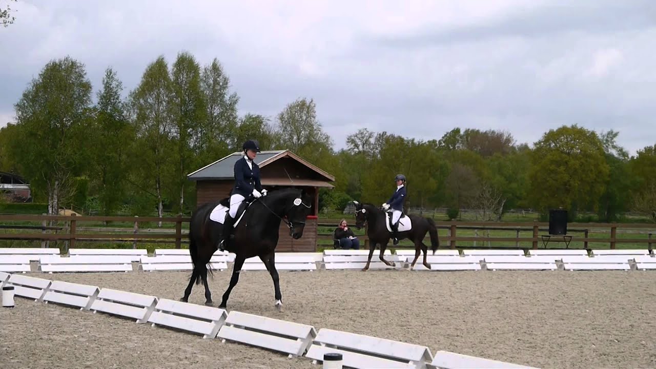 A - Dressur 5/2 -- 1.Platz   :)