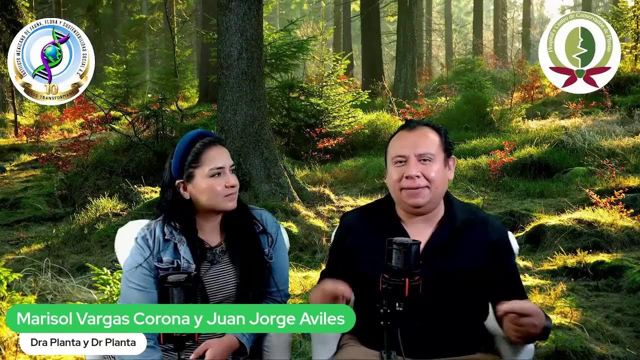 🔴🌱Hospital de Plantas 14 de Marzo de 2026 🌱