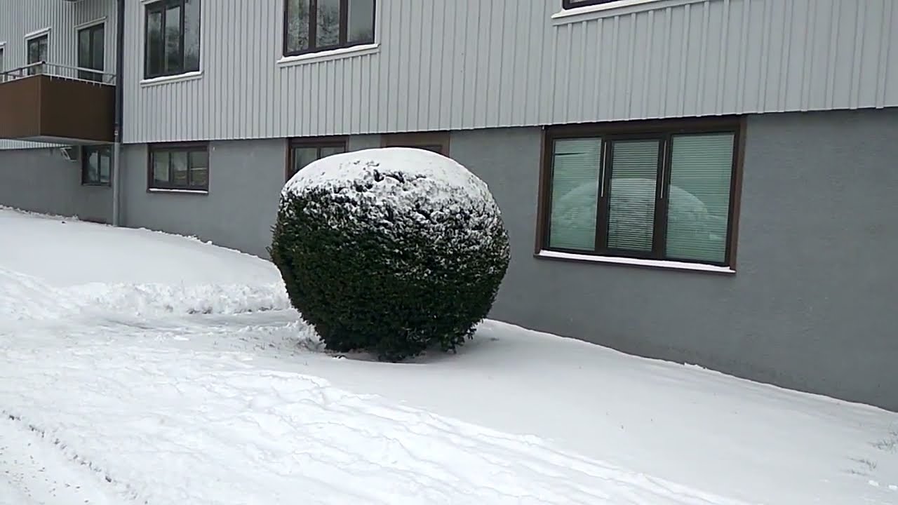Sweden Snowfall 3
