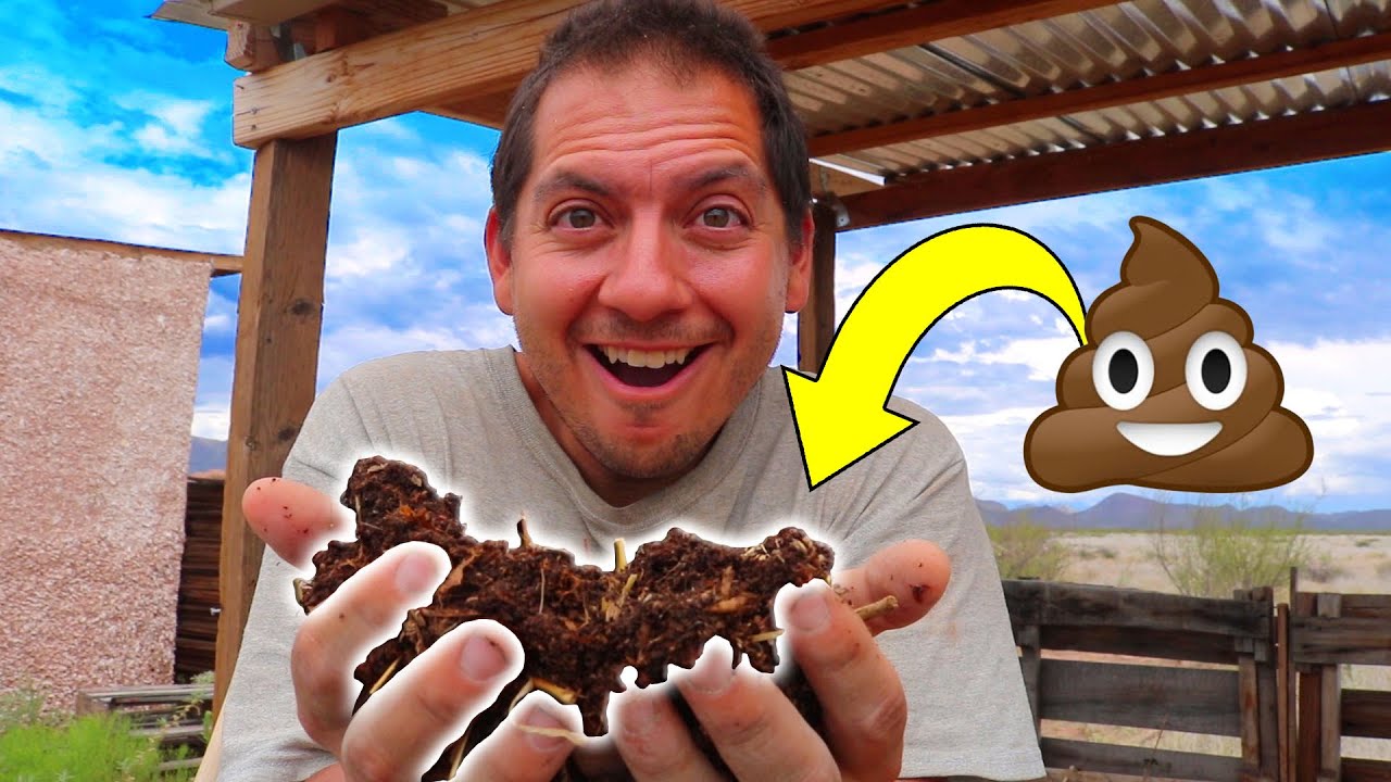 THIS Used To Be Our Poop! | Transforming Human Waste Into Healthy Soil | Humanure Compost