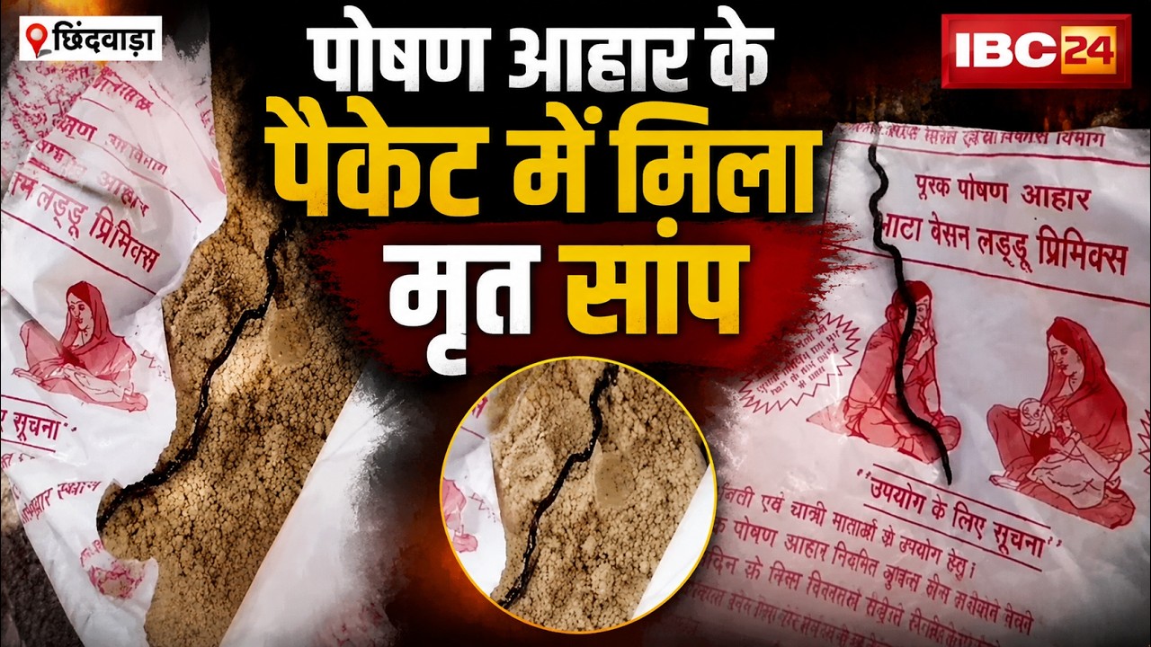 Chhindwara Breaking News: मासूमों की जान से खिलवाड़! पोषण आहार के पैकेट में मिला मरा हुआ सांप। देखिए