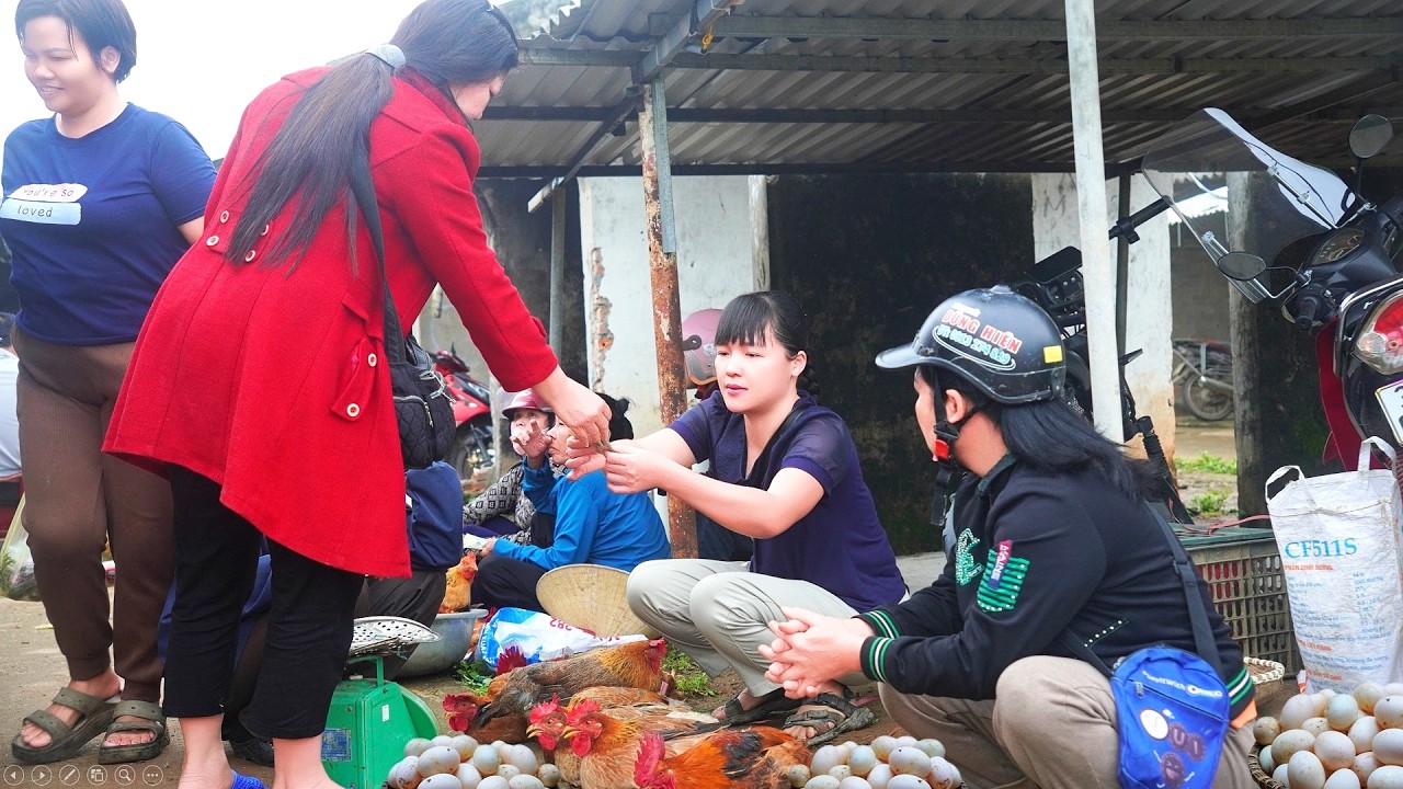 Продажа кур на деревенском рынке, покупка цыплят для выращивания. Жизнь во вьетнамской сельской