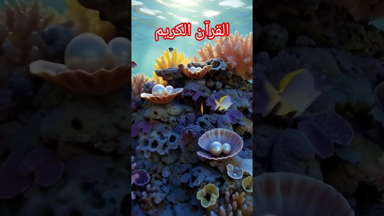القرآن الكريمQURAN URDU TRANSLATION 