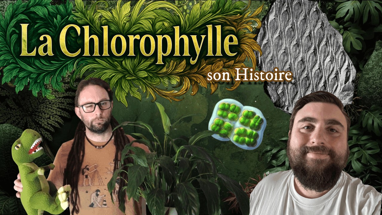 La Chlorophylle, son HISTOIRE 🌿feat @clementcailloux Hortus H.S n°5