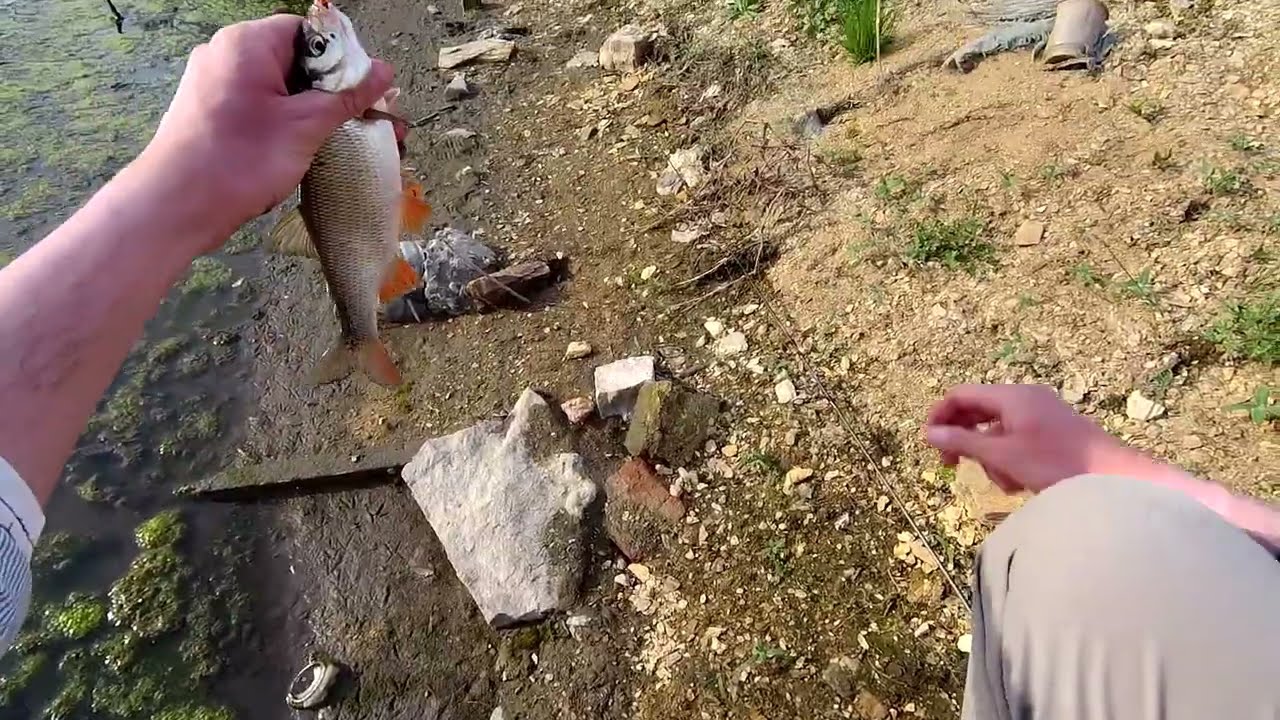 STREETFISHING с Dayo AMULET. Часть 2.