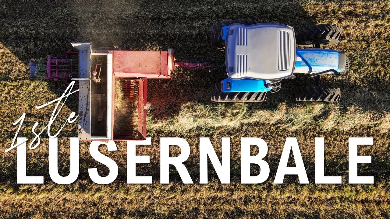 Die eerste lusern word gebaal vir die seisoen