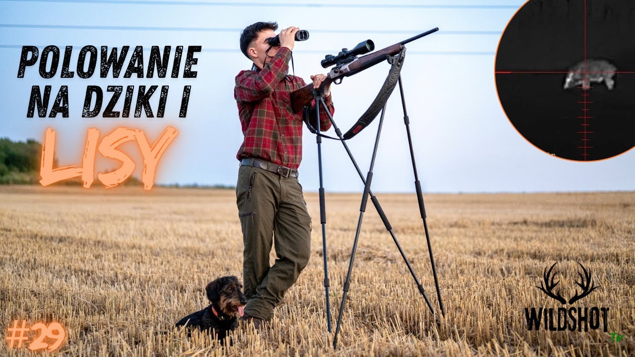 #29 Polowanie na dziki i lisy/ Wildboar and Fox Hunting