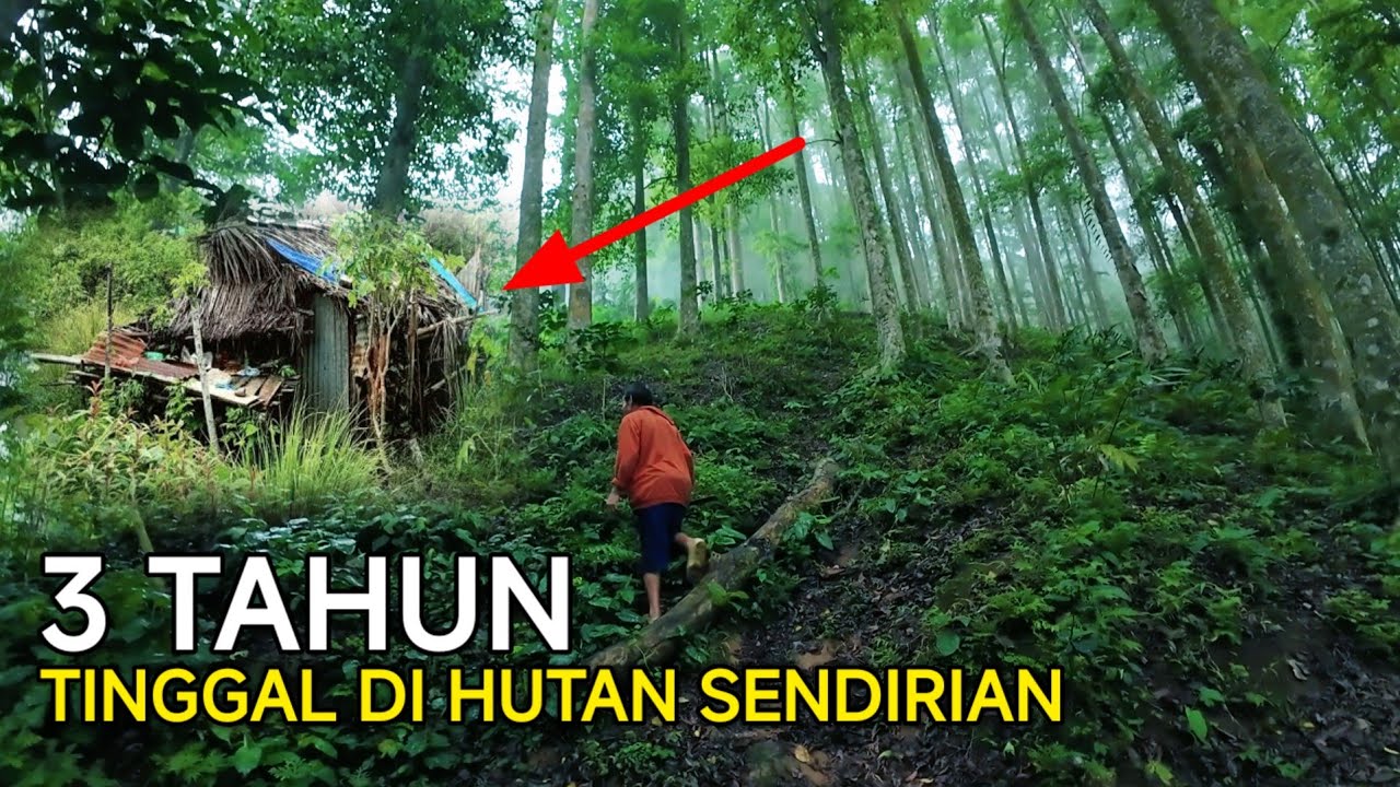APA YANG DI LAKUKAN ORANG INI 3 TAHUN TINGGAL DI GUBUK REOT TENGAH HUTAN SENDIRIAN 