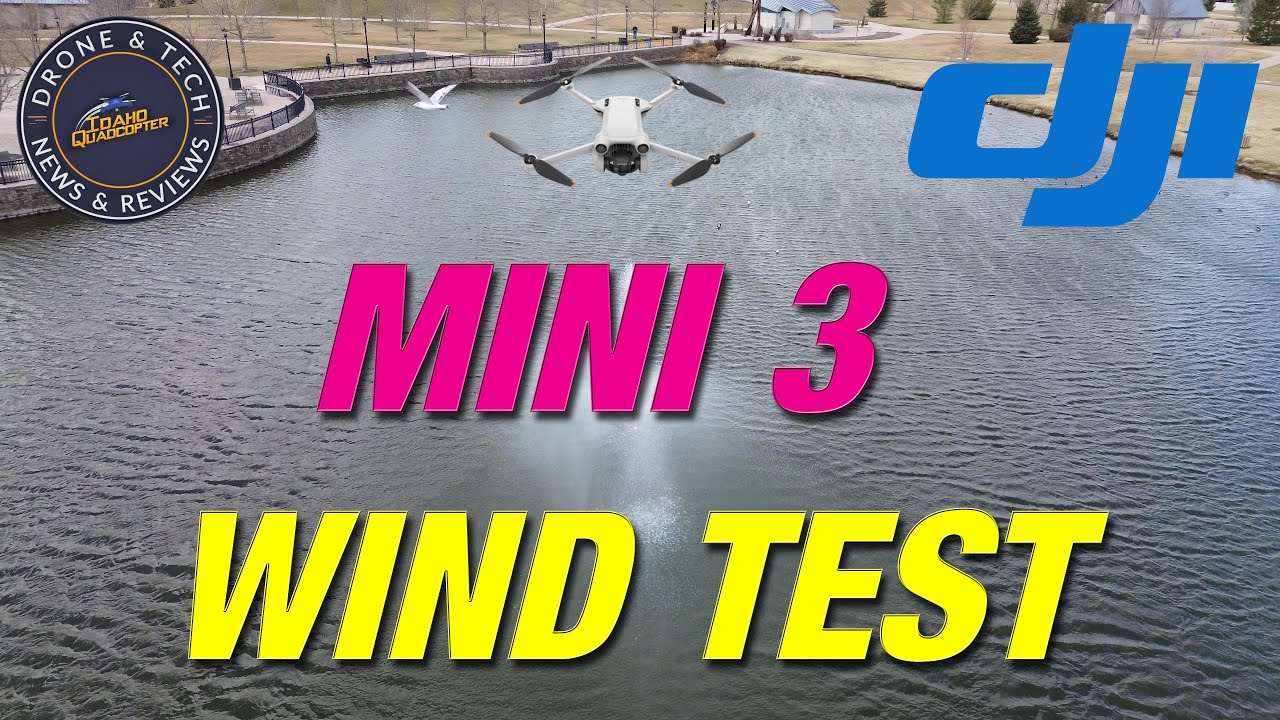 DJI Mini 3   High Wind Test and Fly App Update ver 1.9.5