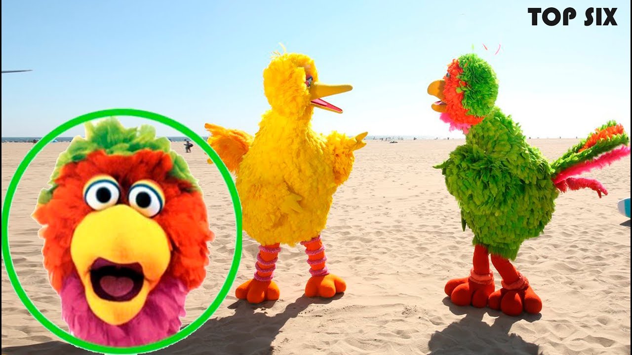 BIG BIRD Y ABELARDO DE PLAZA SESAMO SON PRIMOS