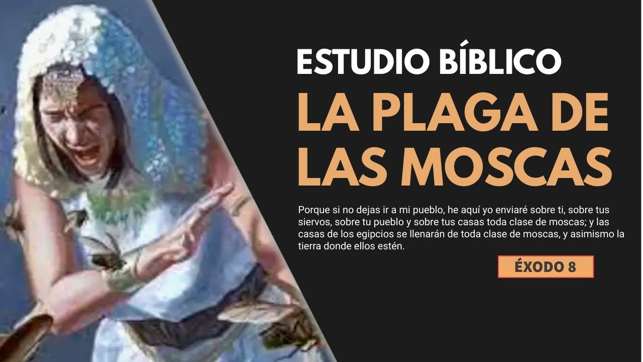 Estudio Bíblico | La plaga de las moscas - REFLEXIÓN.