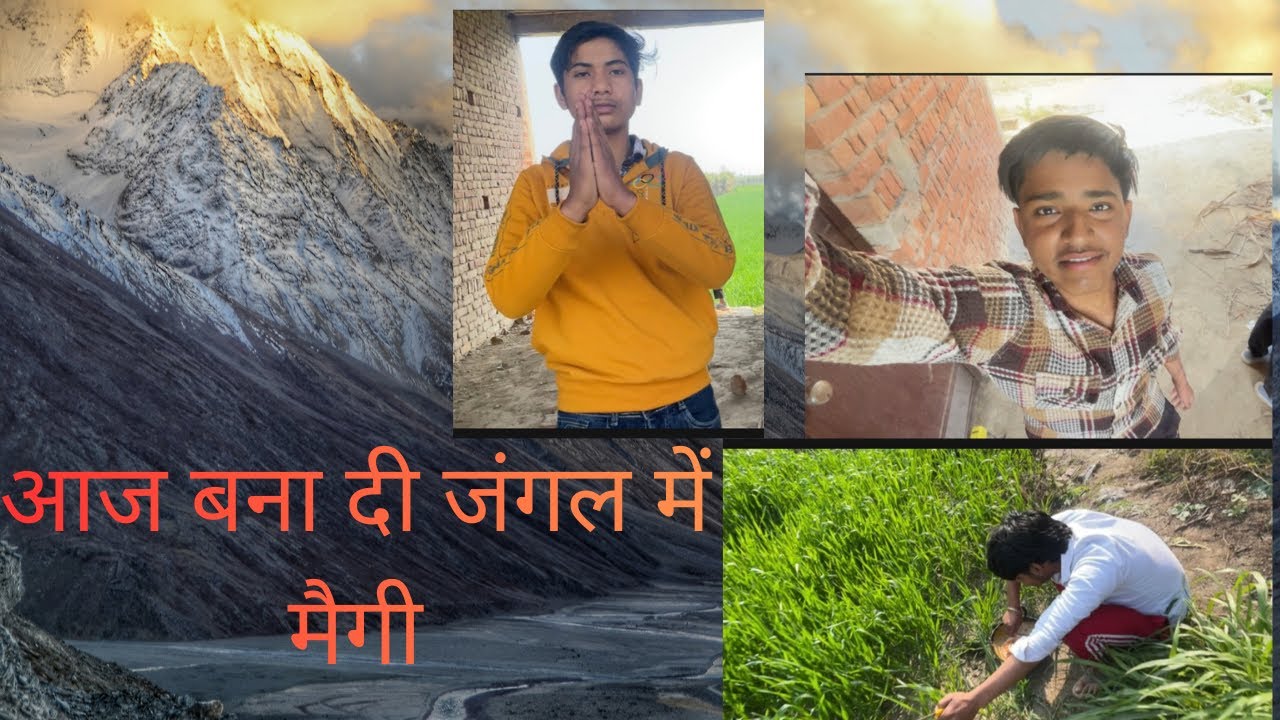 आज बना दी जंगल में मैगी 👍#like #viral #viralvideo #vlog #viralshorts 