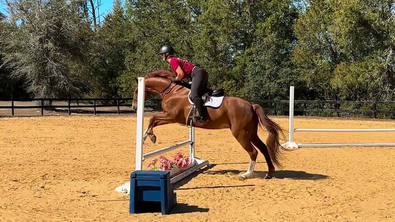 Billy Seamair 