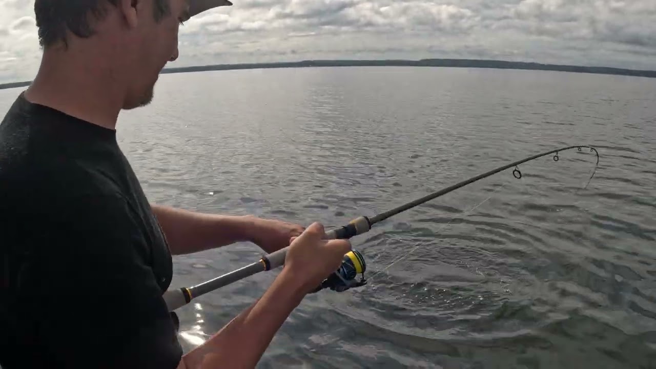MegaJaws for SMB