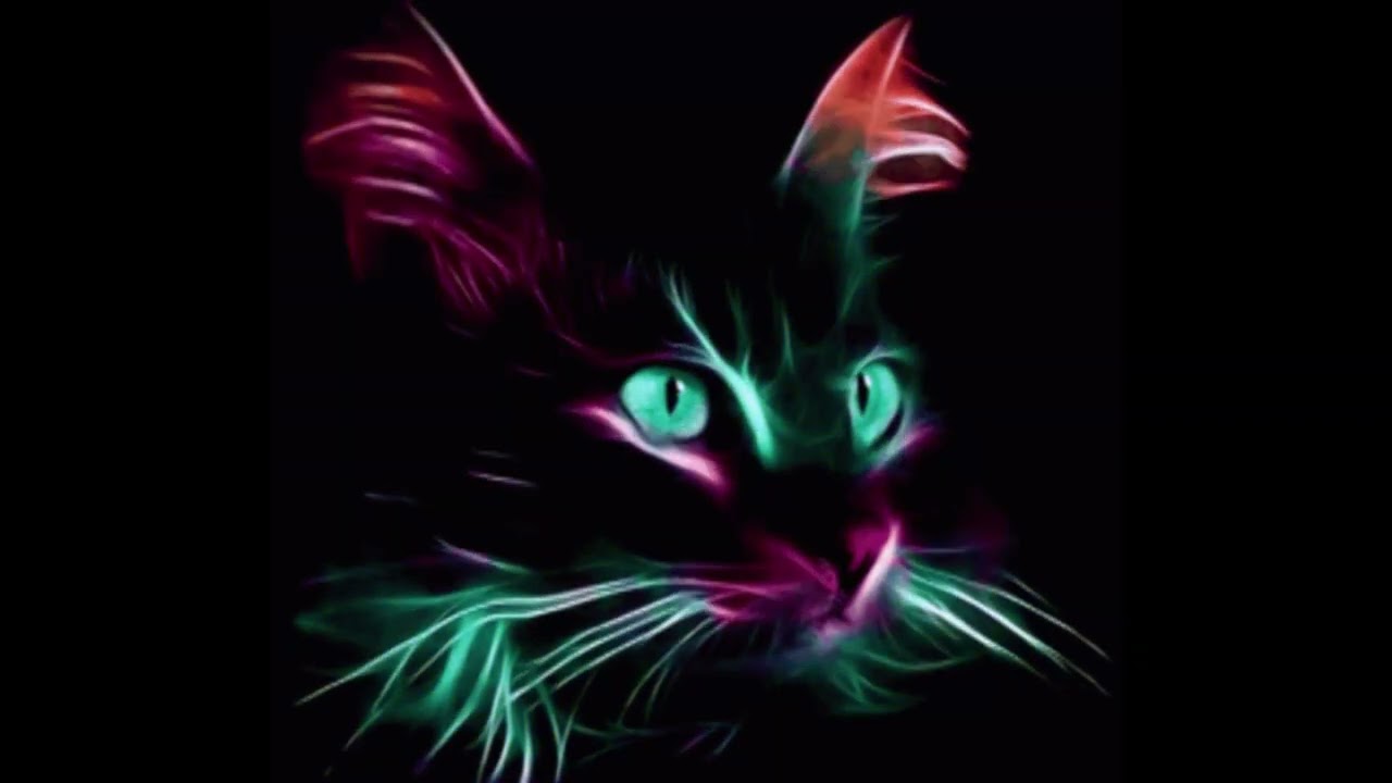 After Dark - Mr.Kitty (Slowed & Reverb)