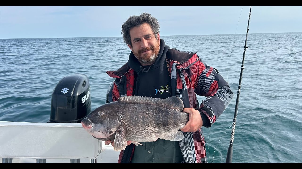 April MONSTER  Tog Fishing on New Wrecks
