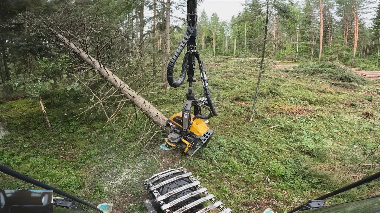 Mukavaa avohakkuutta rouskutella nurin ja jotain hölmöjä hölötyksiä. Ponsse Scorpion K H7 AC FC
