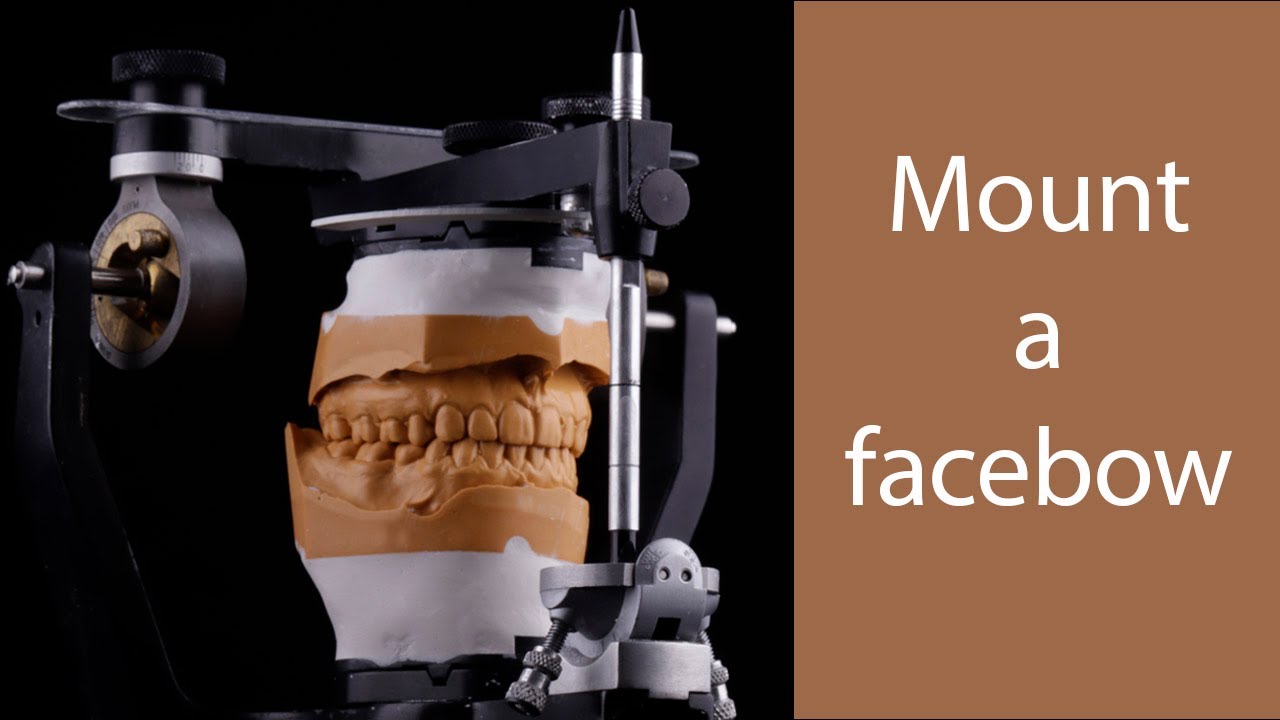 How to mount a facebow on a Hanau articulator | 2024