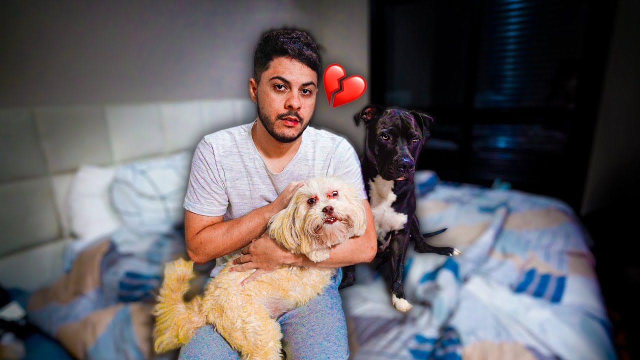 A MAGGIE E O ZEUS FICARAM MUITO DOENTES! - voltei urgente pra casa