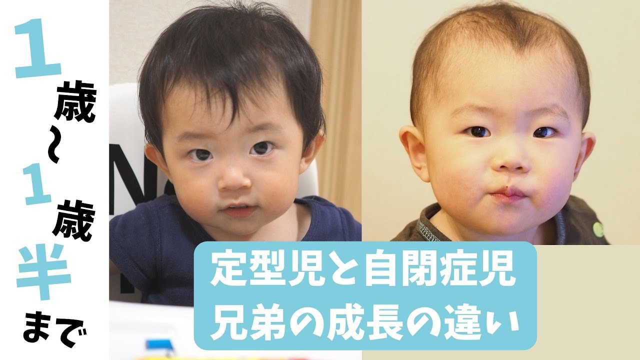 【自閉症と分かるまで】1歳〜1歳半までの兄弟の成長の違い