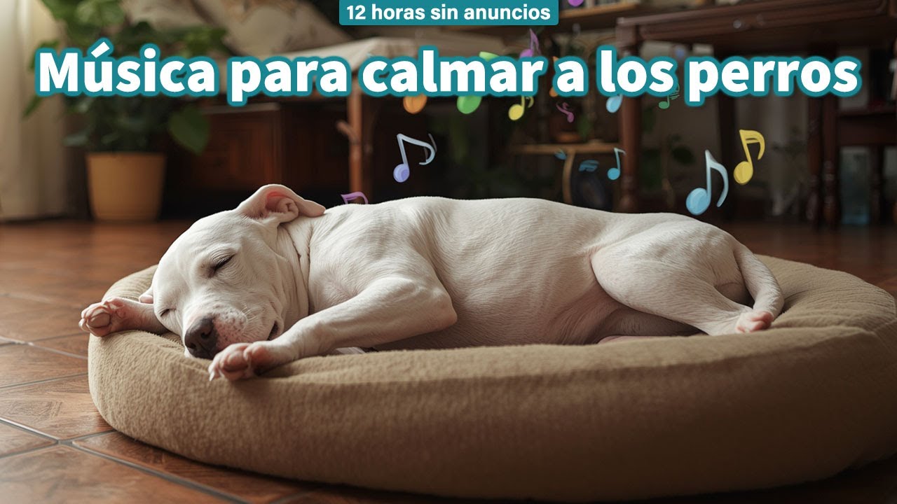 Música Relajante para Perros 12 Horas Sin Anuncios | Perros Enfermos / vol.10