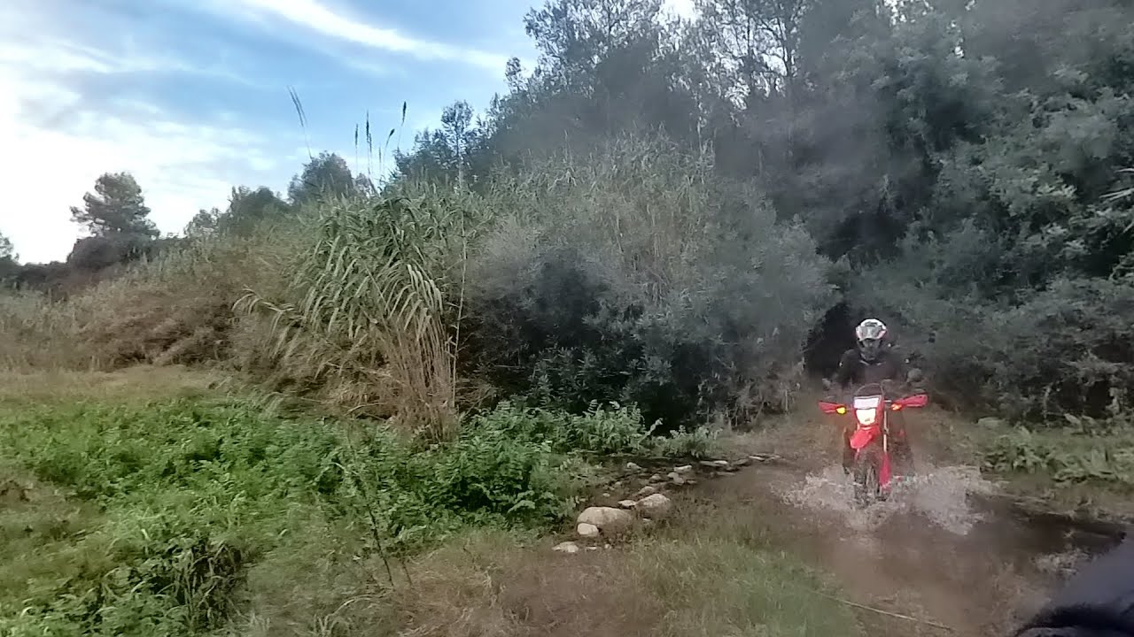 HONDA CRF 300L Y CRF 450L el track nos mete en un berengenal....