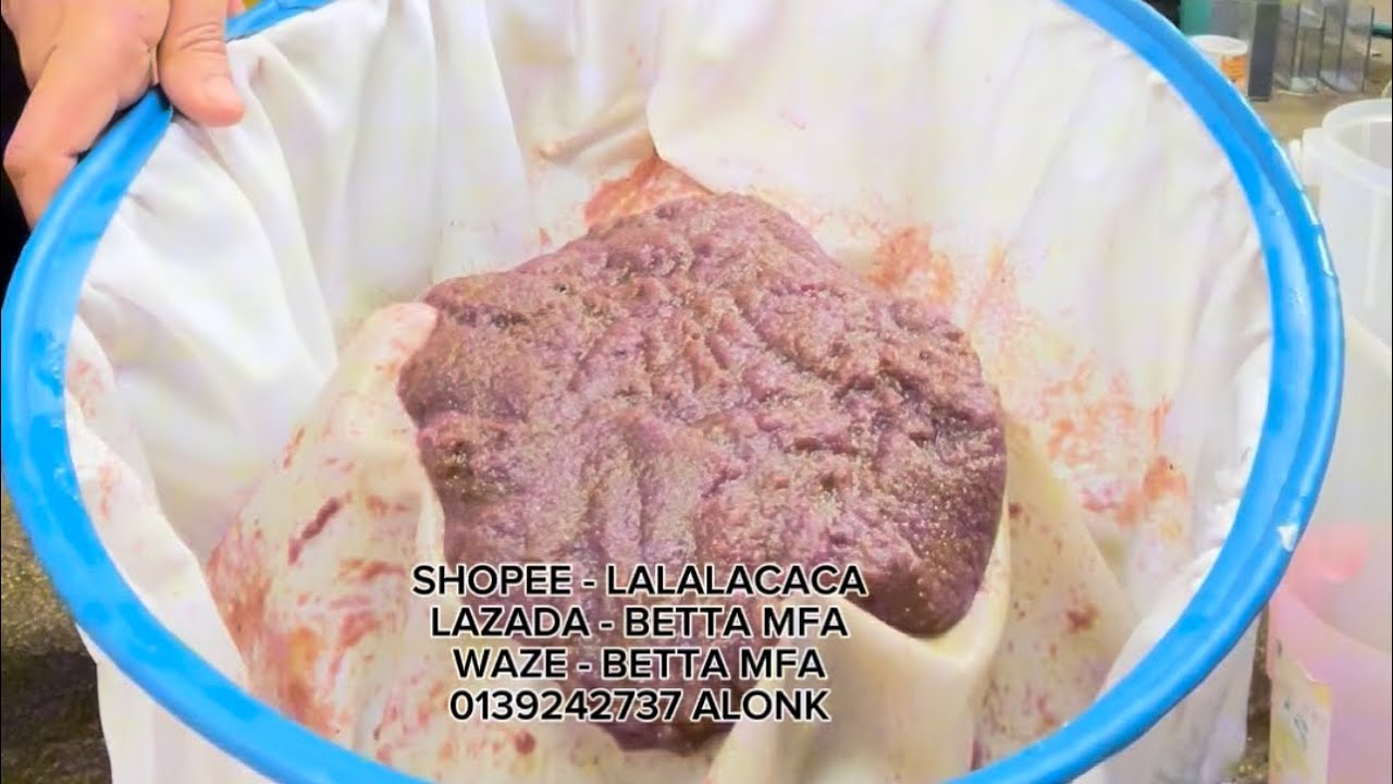 KUTU AIR ( MAKANAN NO 1 IKAN LAGA )