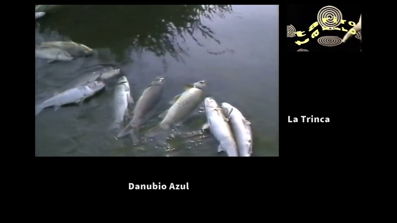 Danubio Azul La Trinca 1989