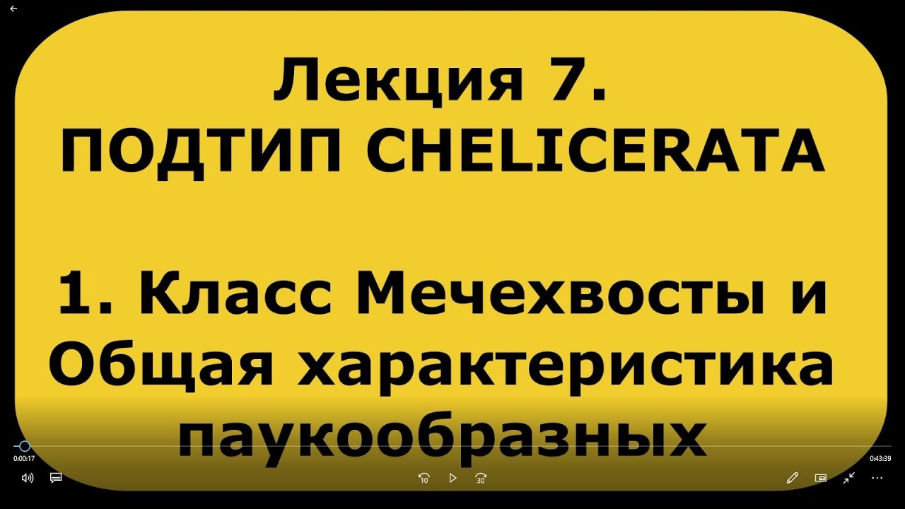 Зоология беспозвоночных. Лекция 7. Подтип  CHELICERATA. Общая характеристика паукообразных