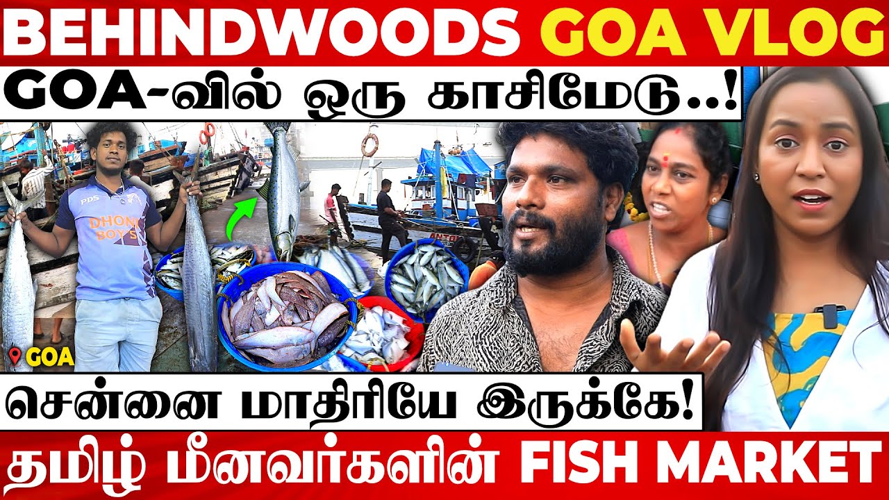 இது GOA-வா? இல்ல வடசென்னையா..! மிரண்டு போன ANCHOR! கோவா-வை கலக்கும் தமிழ் மீனவர்கள் பேட்டி