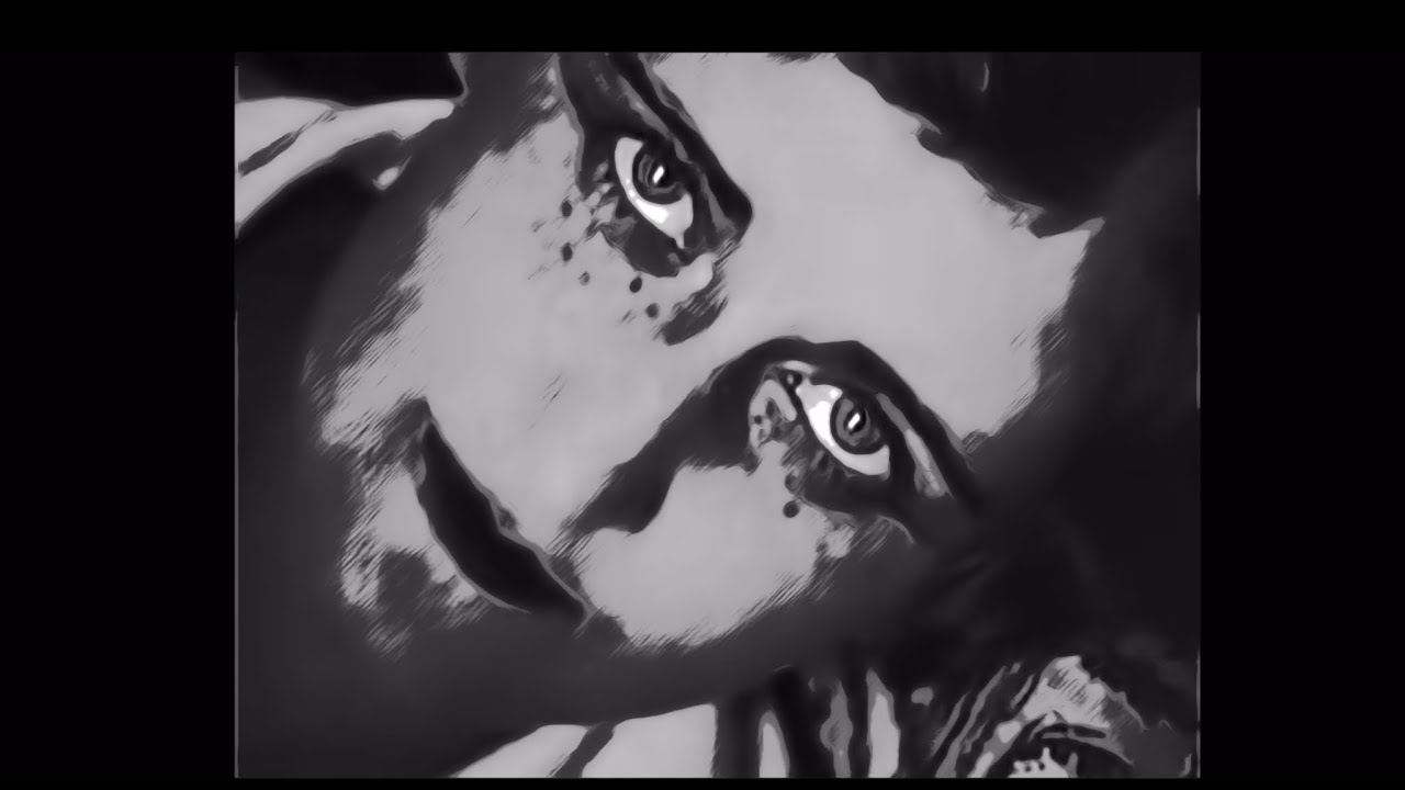 &ldquo;Too Late for Tears&rdquo;  by Kau-Tau Unofficial Music Video
