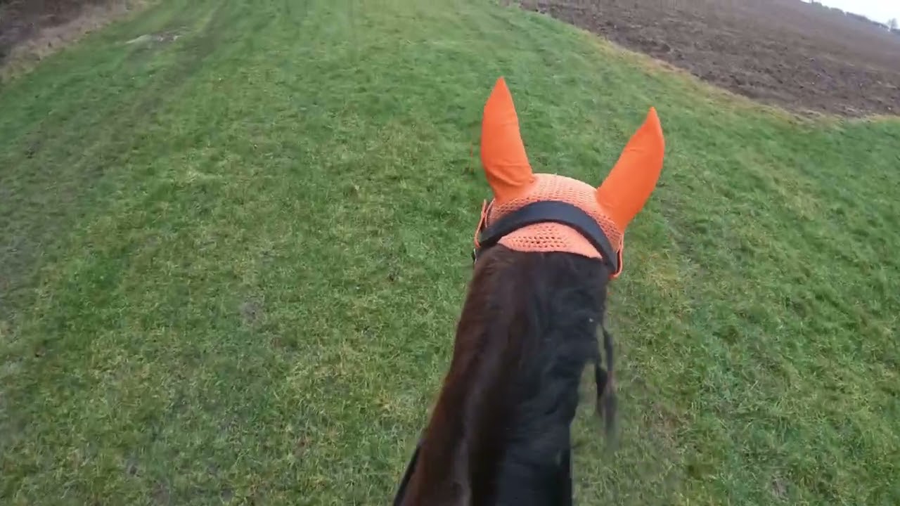 Sunday 1st February 2026 Hacking 