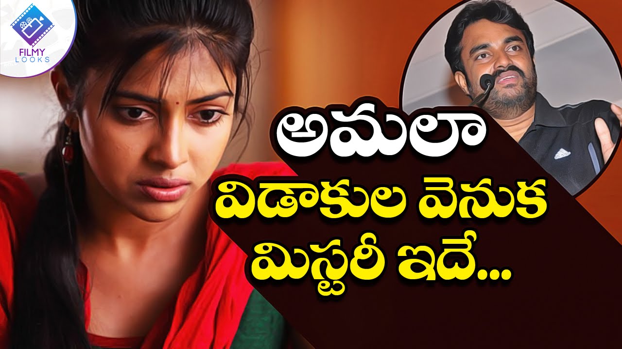 Amala Paul -Vijay Divorce issue - Reason behind the Divorce