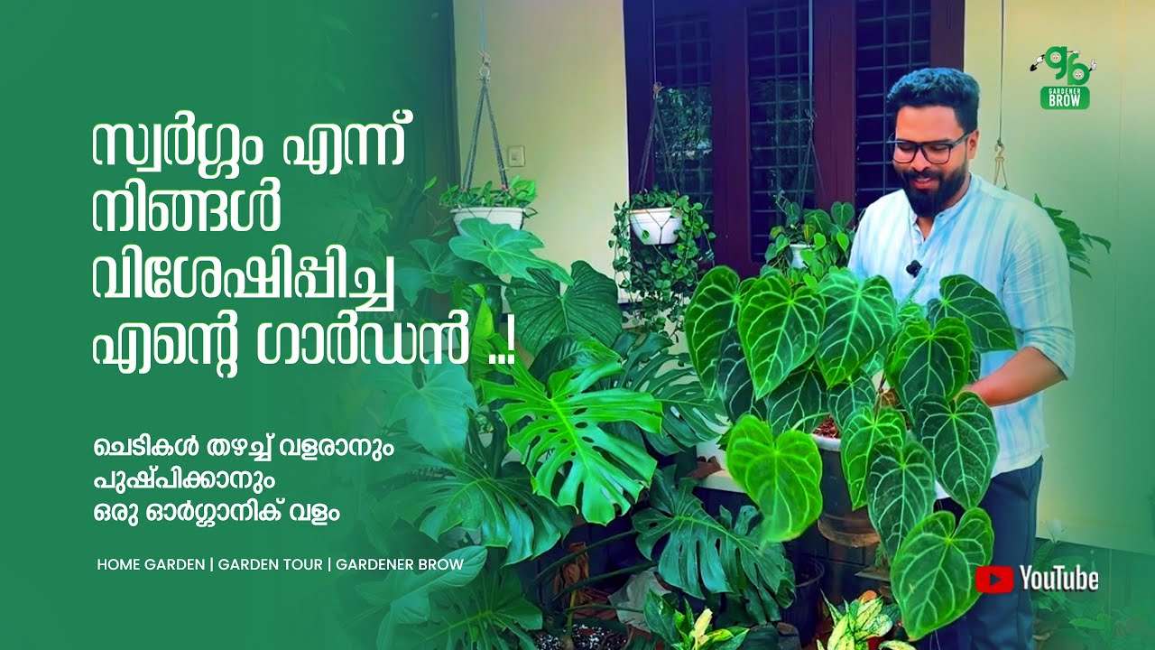 സ്വർഗ്ഗം എന്ന് നിങ്ങൾ വിശേഷിപ്പിച്ച എന്റെ വീട്ടിലെ ഗാർഡൻ ❤️ | HOME GARDEN | GARDEN TOUR