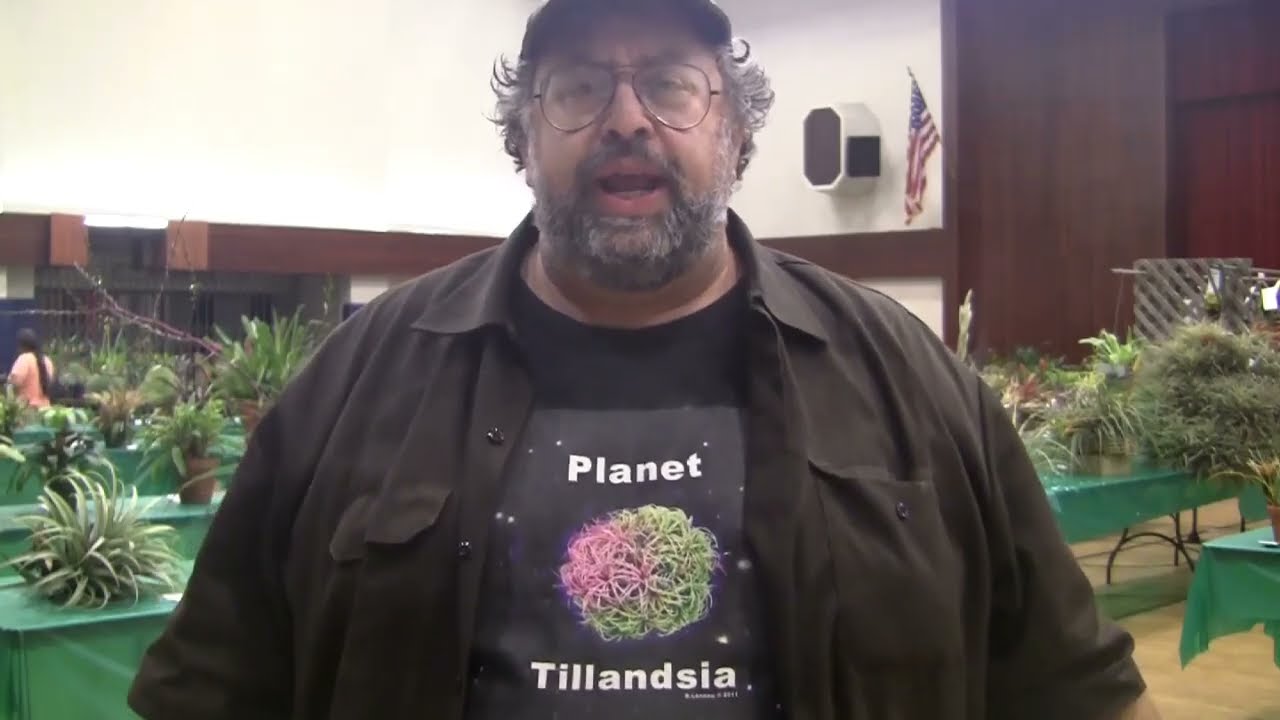 BL Tropical Planet Culver City Show 2015