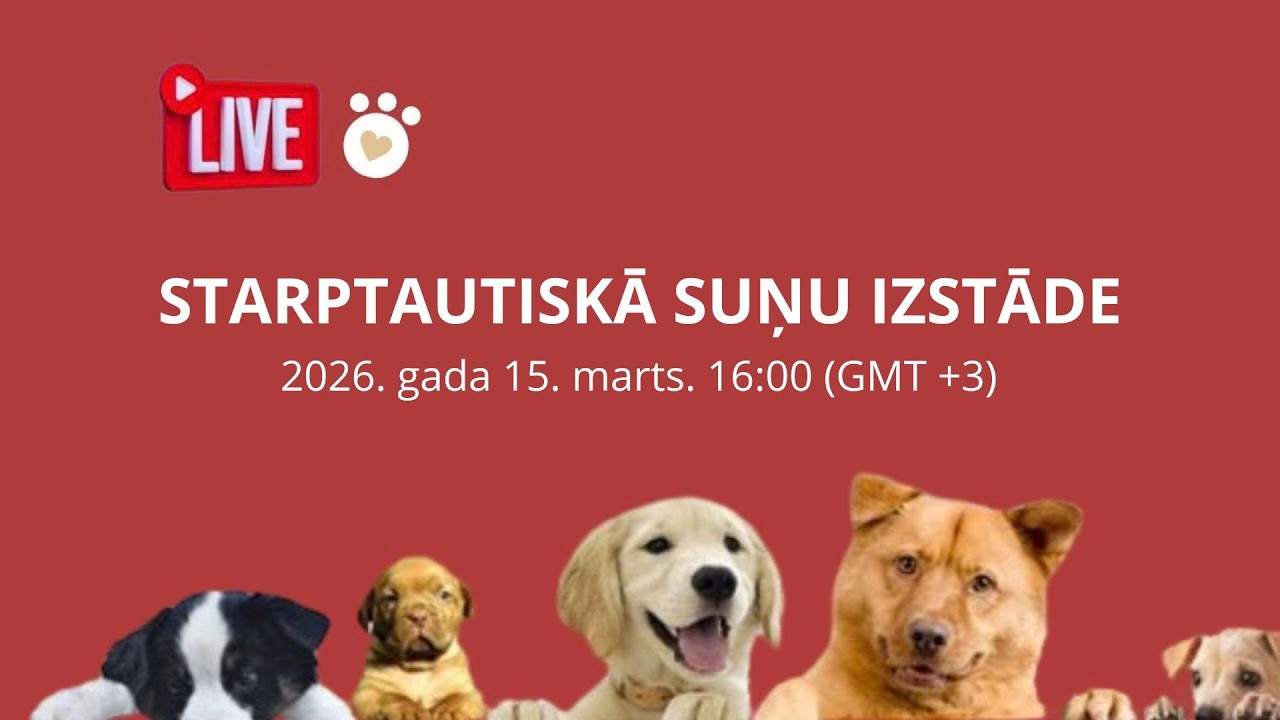 STARPTAUTISKĀ SUŅU IZSTĀDE I 15.03.2026 16:00  LIVE!