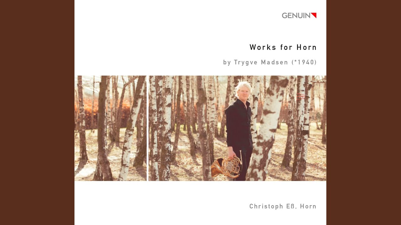 Horn Sonata, Op. 24: I. Allegro