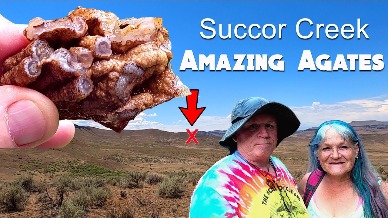 Rockhounding Adventure Succor Creek Oregon