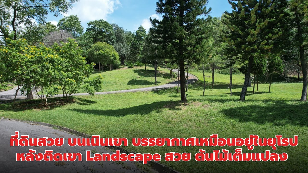 EP322: ที่ดินสวย อยู่บนเนินเขา บรรยากาศเหมือนอยู่ในยุโรป หลังติดเขา Landscape สวย ต้นไม้ใหญ่เต็มแปลง